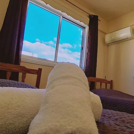 Chill N' Joy アヤナパ